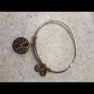 Alex and Ani Bracelet